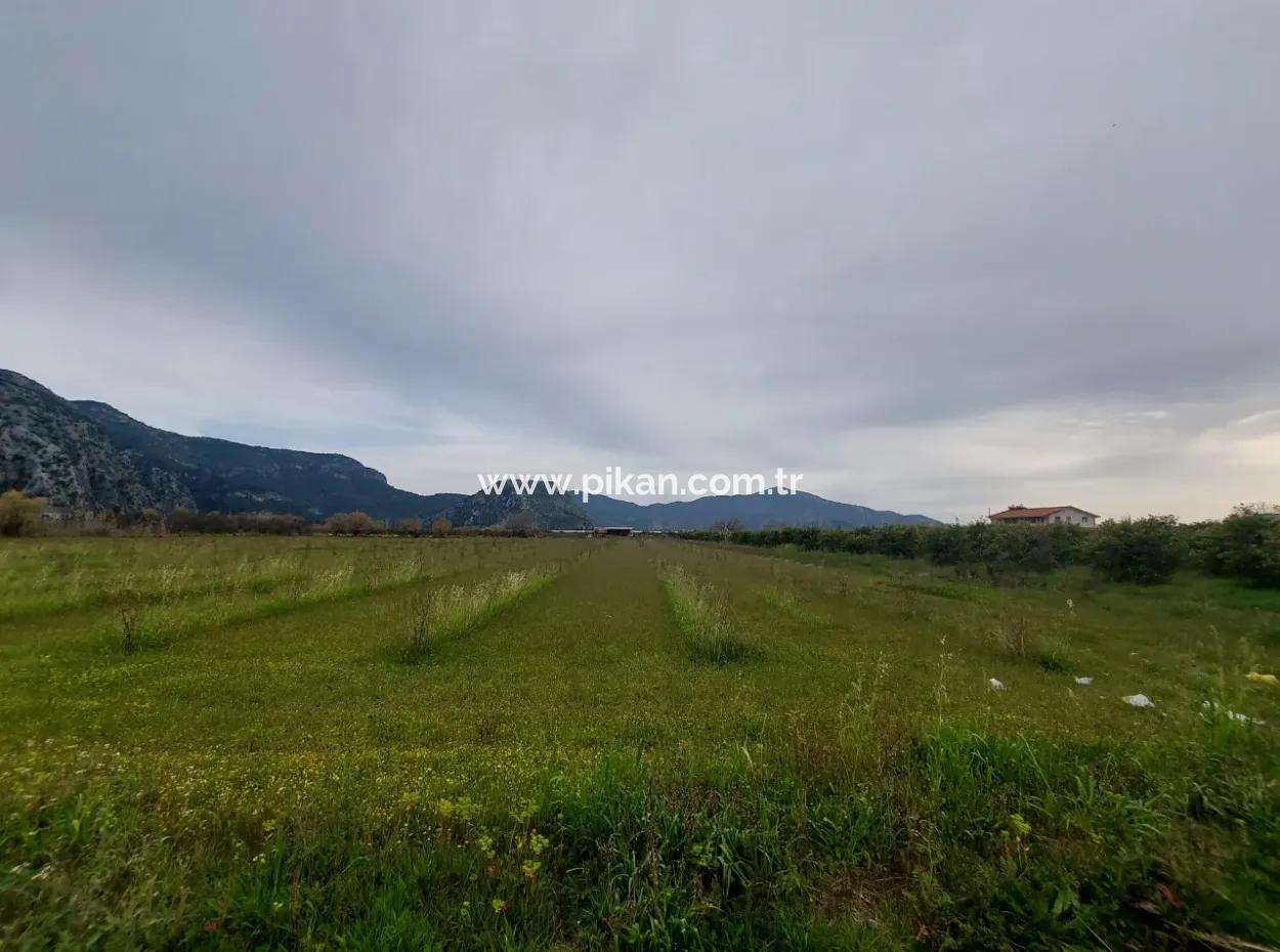 Muğla Dalyan'da 5 000 M2, 250 M2 İnşaat İzinli, Dalyan Kanalına Yakın Arazi  Satılık