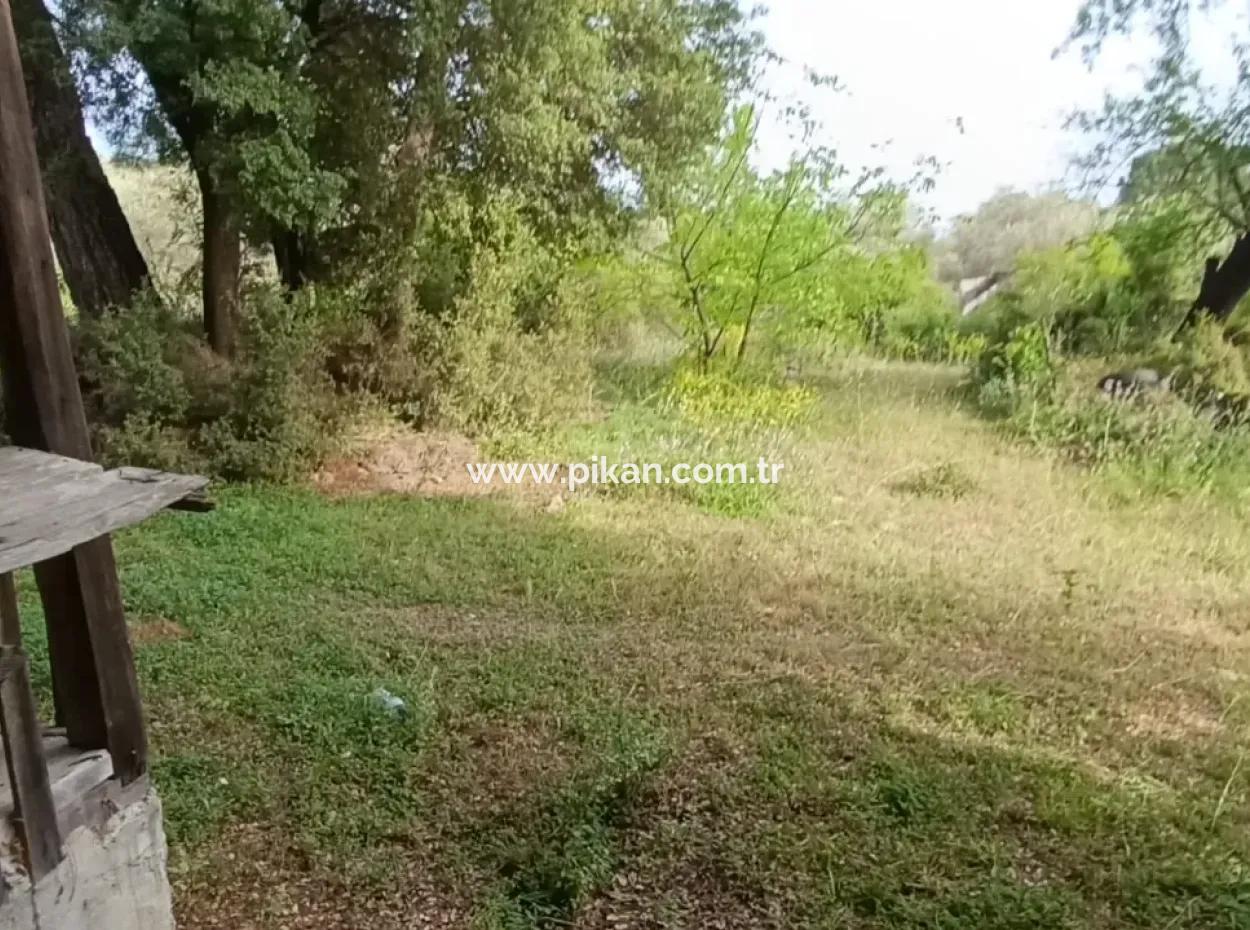 Muğla Menteşe Yaraş'ta Köy İçinde İmarlı 1228 M2 Arsa Ve Kargır Ev Satılık.   