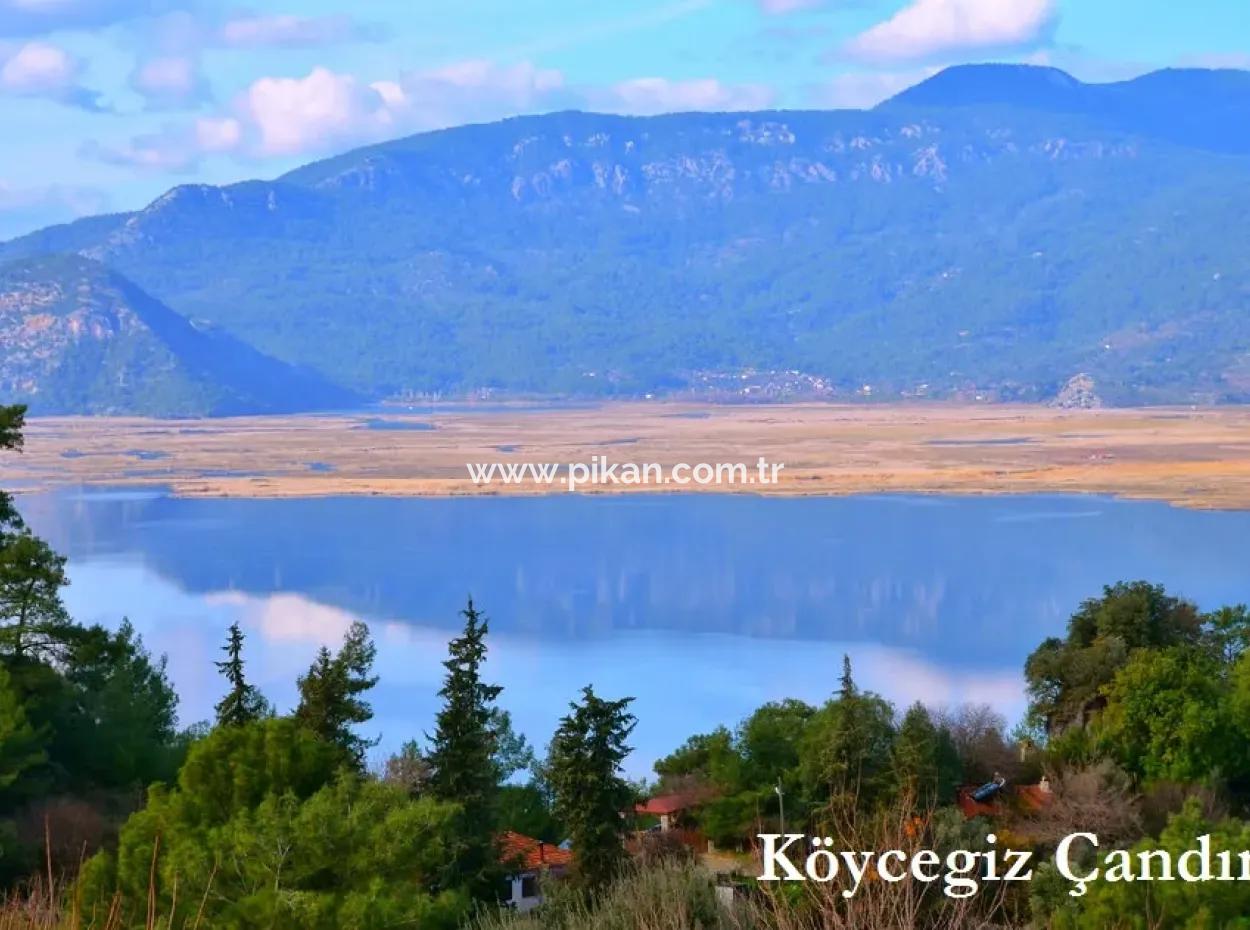 Köyceğiz Çandır Organik Köyde, Göl Manzaralı 600M2 Konut İmarlı Arsa Satılık