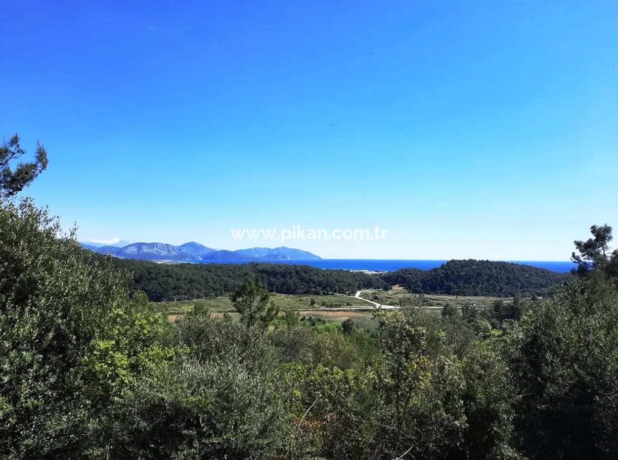 Mugla Sarıgermede Deniz Manzaralı 400 M2 İmarlı Arsa Satılık Veya Takas