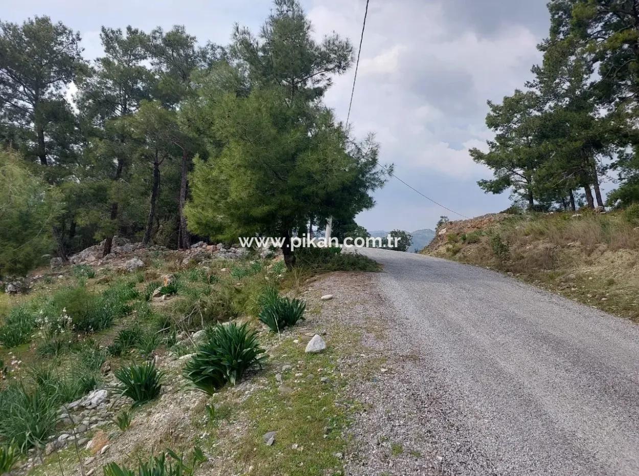 Dalaman Gürköyde 3.500 M2 Deniz Manzaralı Müstakil Arazi Satılık