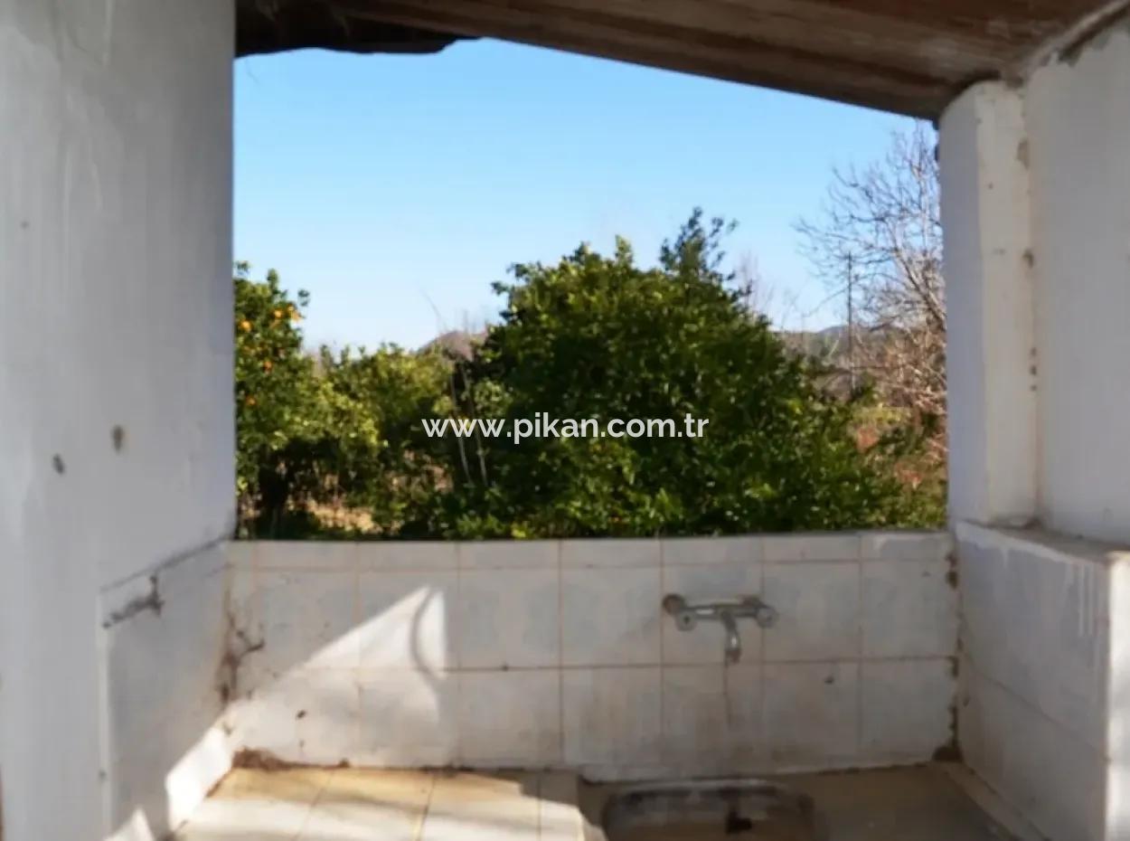 Beyobasında Satılık Köy Evi Ve Portakal Bahçesi
