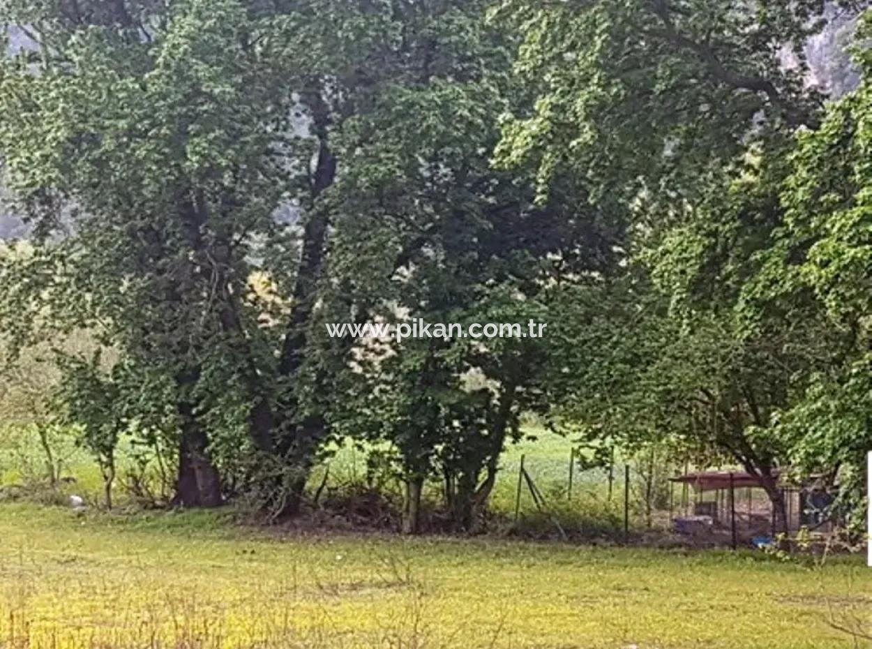 Muğla Ortaca Okçularda Dalyan Anayoluna Sıfır Yatırıma Uygun 3 577 M2 Arazi Satılık
