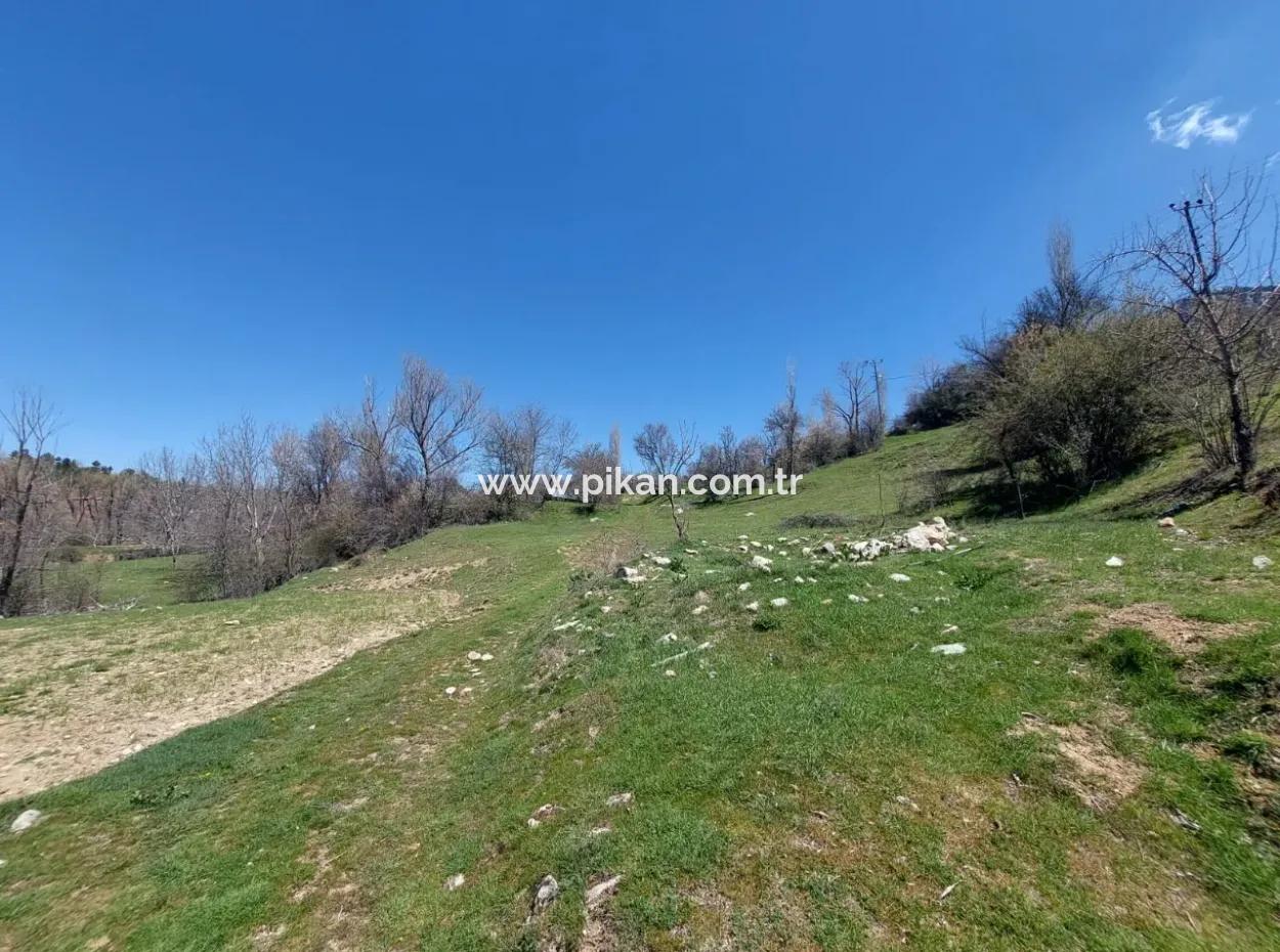 Çameli Cevizlide 650 M2 İmarlı Arsalar Satılık
