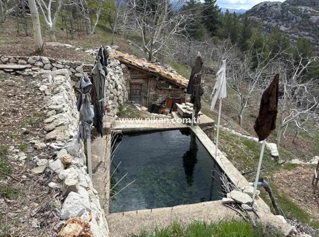 Antalya Akseki Çimiköy  9 400 M2 Müstakil Kelepir Ceviz Bahçesi Satılık Veya Takas