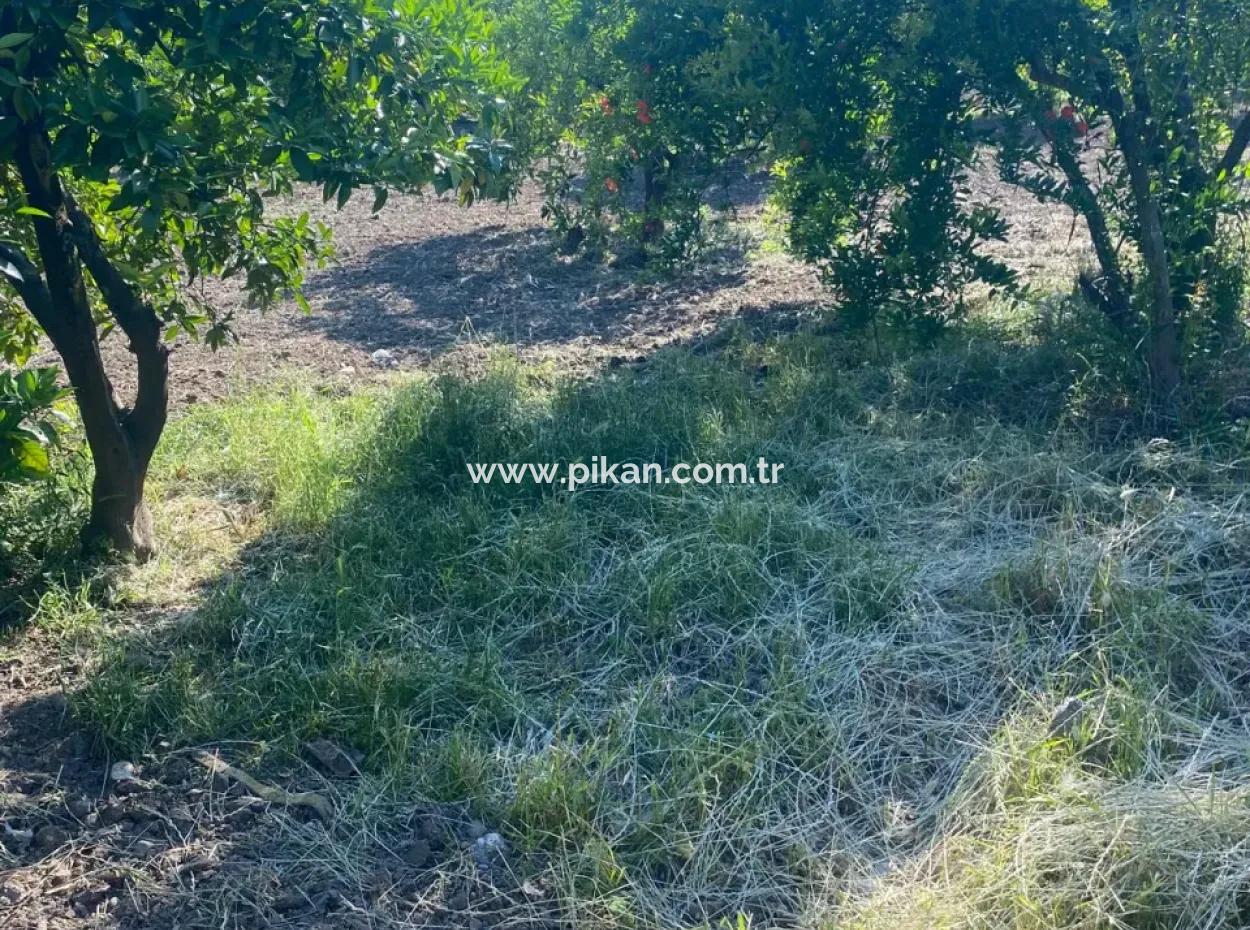 Ortaca Kemaliyede  Rızai Taksimli 500 M2 Arazi Acil Satılık