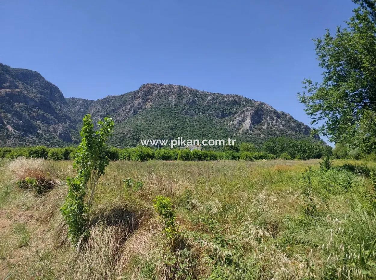 Muğla Marmarlı Da 5 800 M2 İmar Planı İçinde Yatırıma Uygun Satılık  Arsa