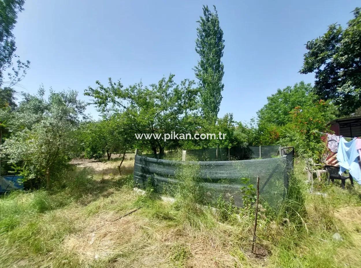 Ortaca Kemaliyede  Rızai Taksimli 500 M2 Arazi Acil Satılık