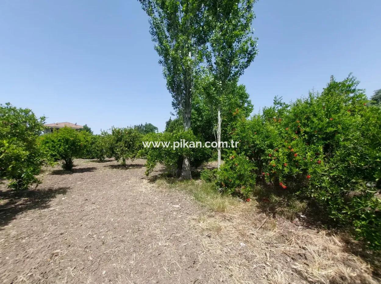 Ortaca Kemaliyede  Rızai Taksimli 500 M2 Arazi Acil Satılık