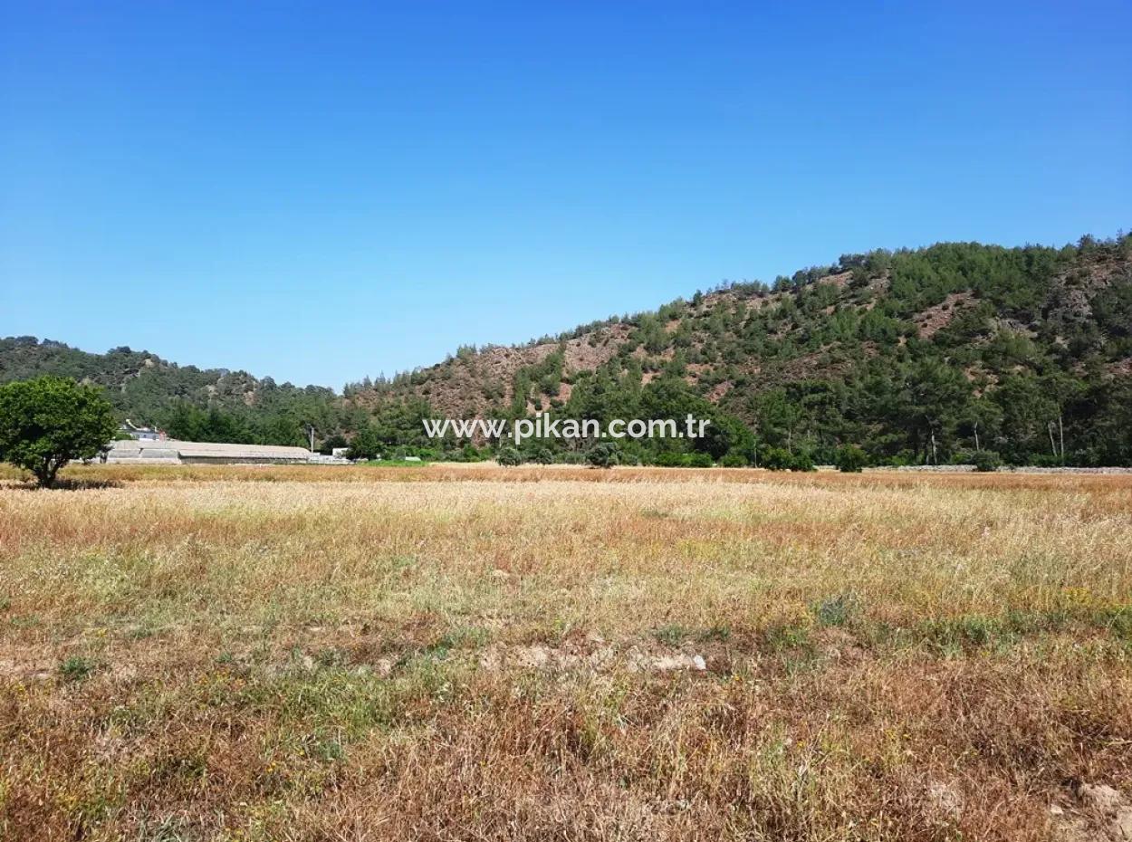 Dalaman Karacaağaçda 454 M2 Müstakil Tapulu Arazi Satılık