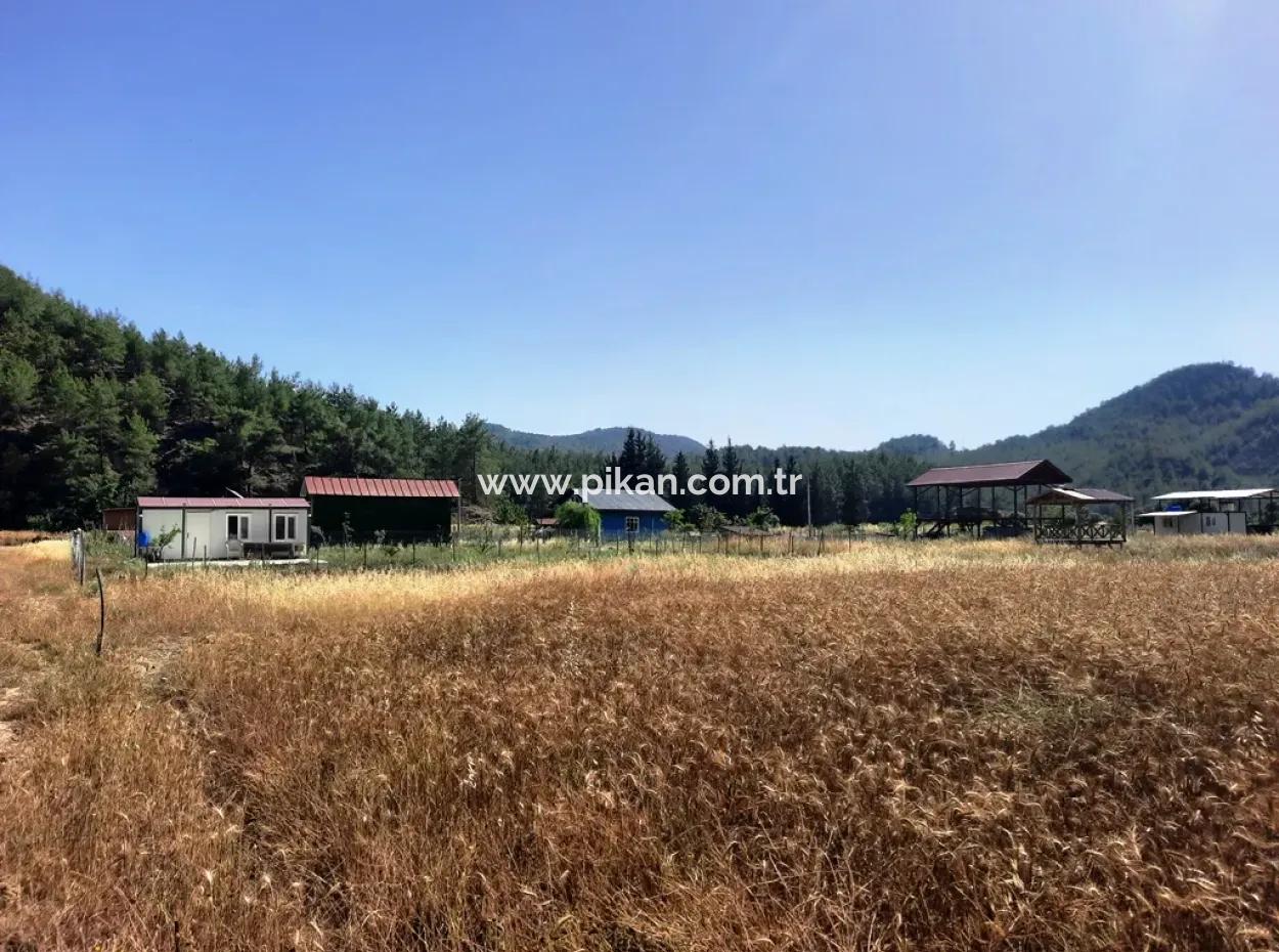 Dalaman Karacaağaçda 454 M2 Müstakil Tapulu Arazi Satılık