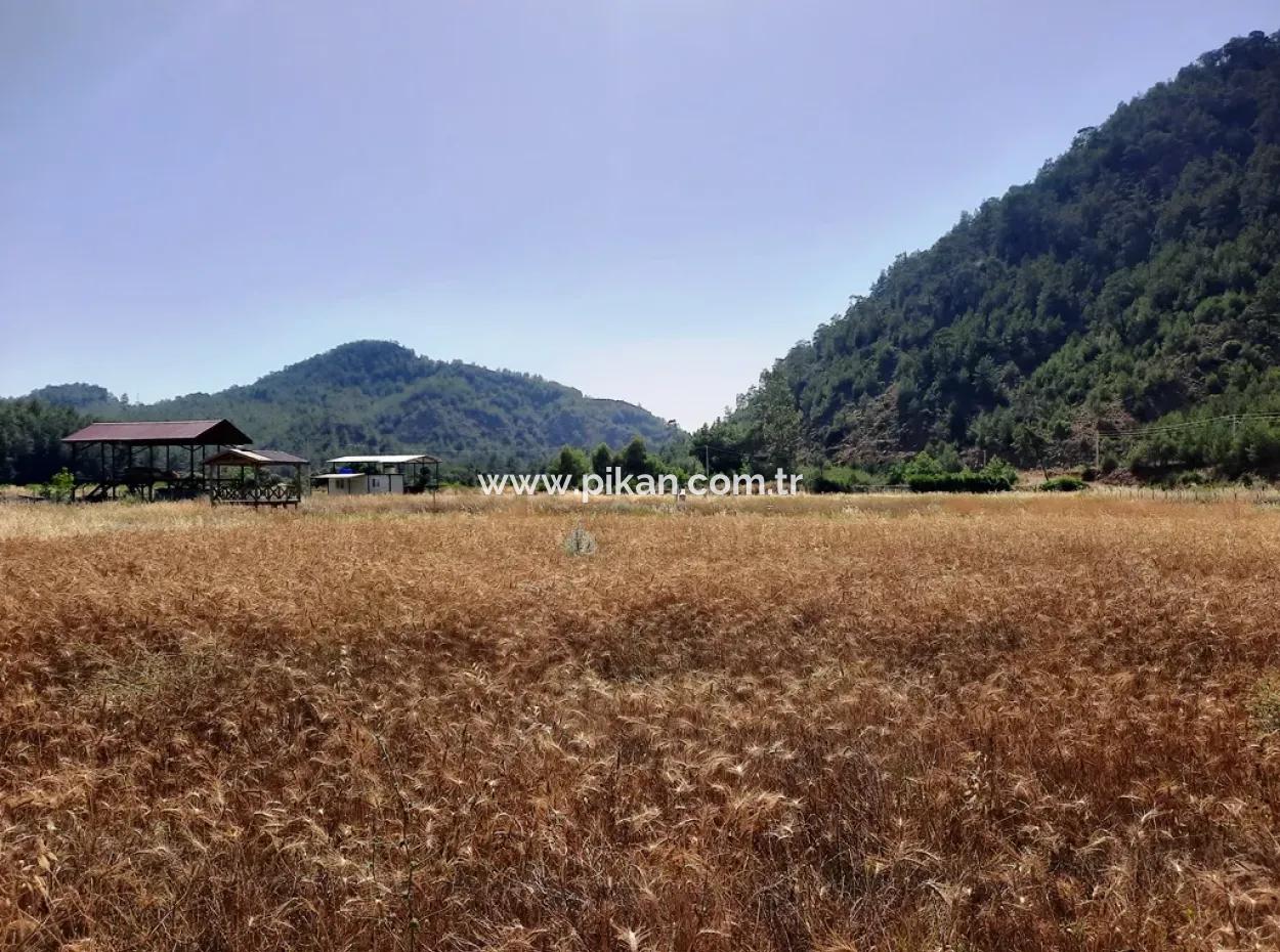 Dalaman Karacaağaçda 454 M2 Müstakil Tapulu Arazi Satılık