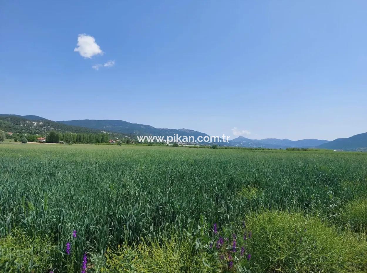 Çameli Bıçakçıda Satılık Kelepir Arazi  5,333 M2 Müstakil Tapulu Satılık