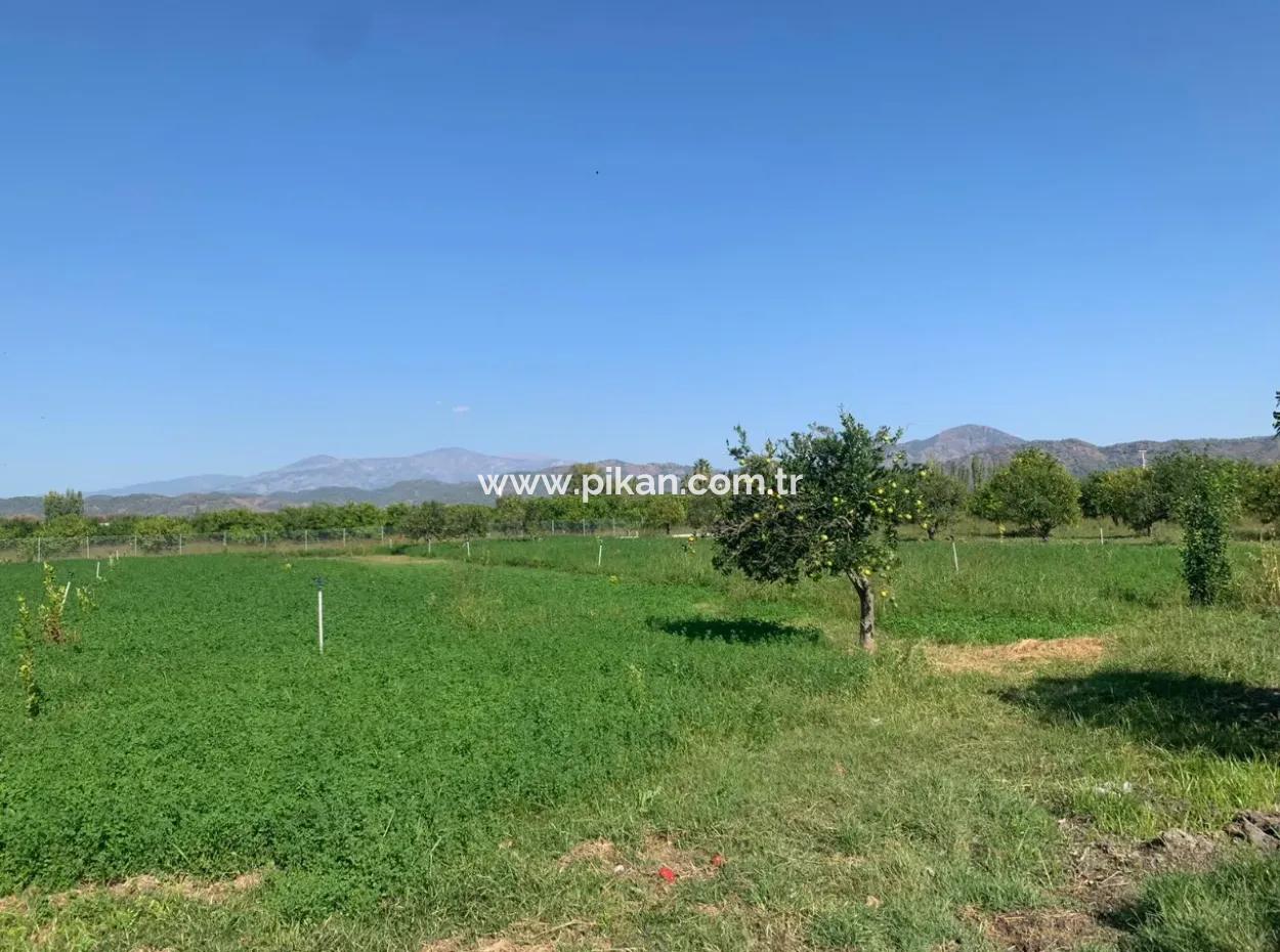 Ortaca Arıkbaşında 5400 M2 Hazır Çiftlik Satılık