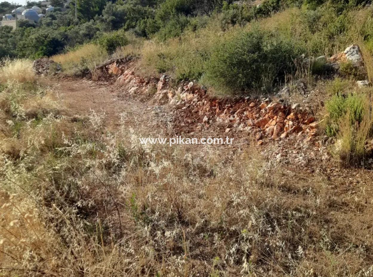 Antalya Kaş Kalkan İslamlarda Satılık 12 300 M2 Yatırıma Uygun Arazi