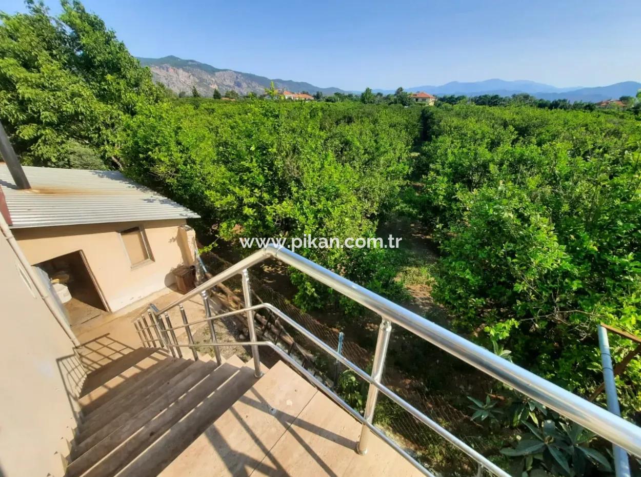 Muğla Ortaca Güzelyurtta 2+1 Eşyalı Daire Kiralık