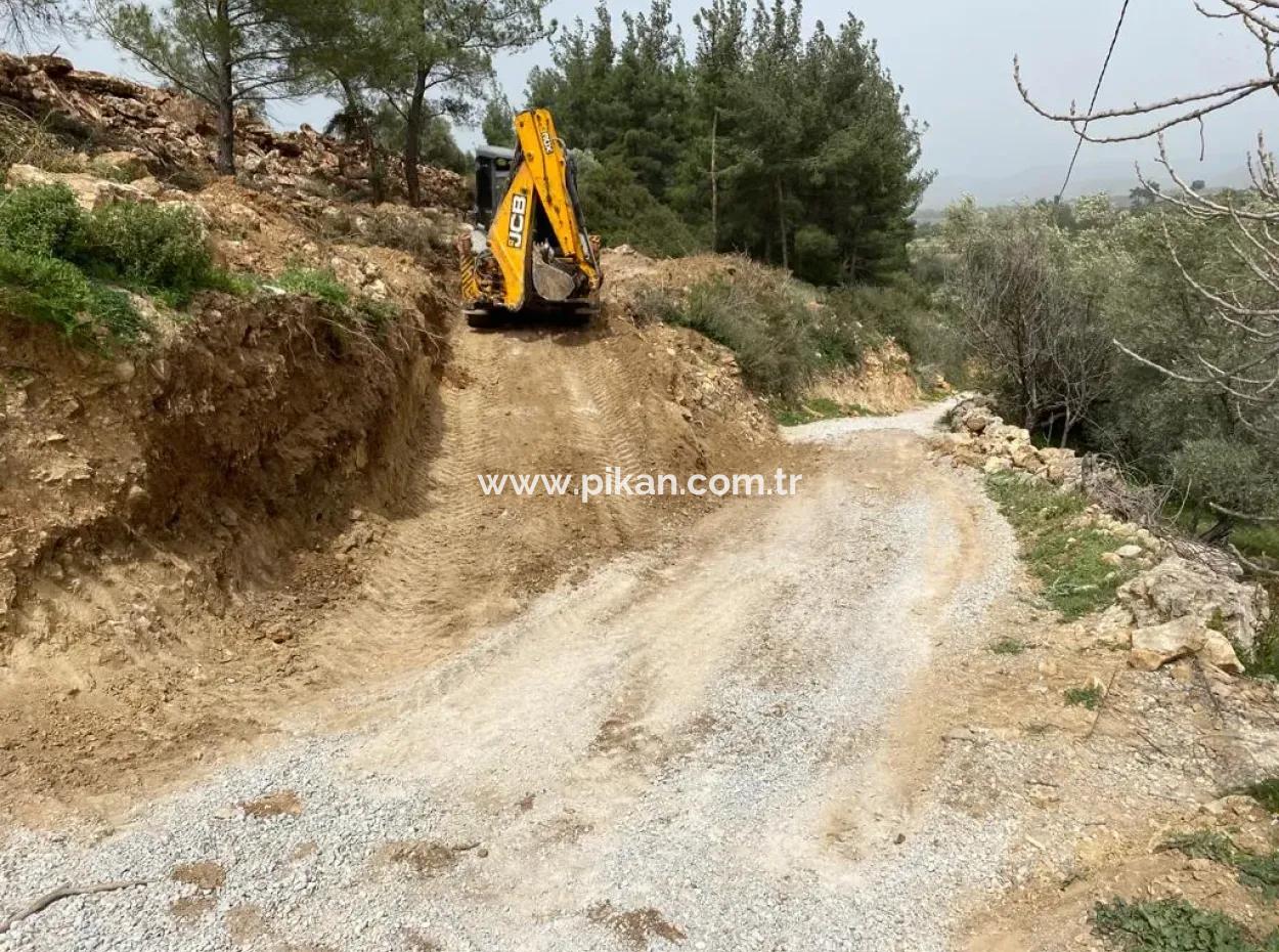 Milas Karacahisarda 2500 M2 Düz Verili Müstakil Arazi Acil Satılık, Teklife Açık