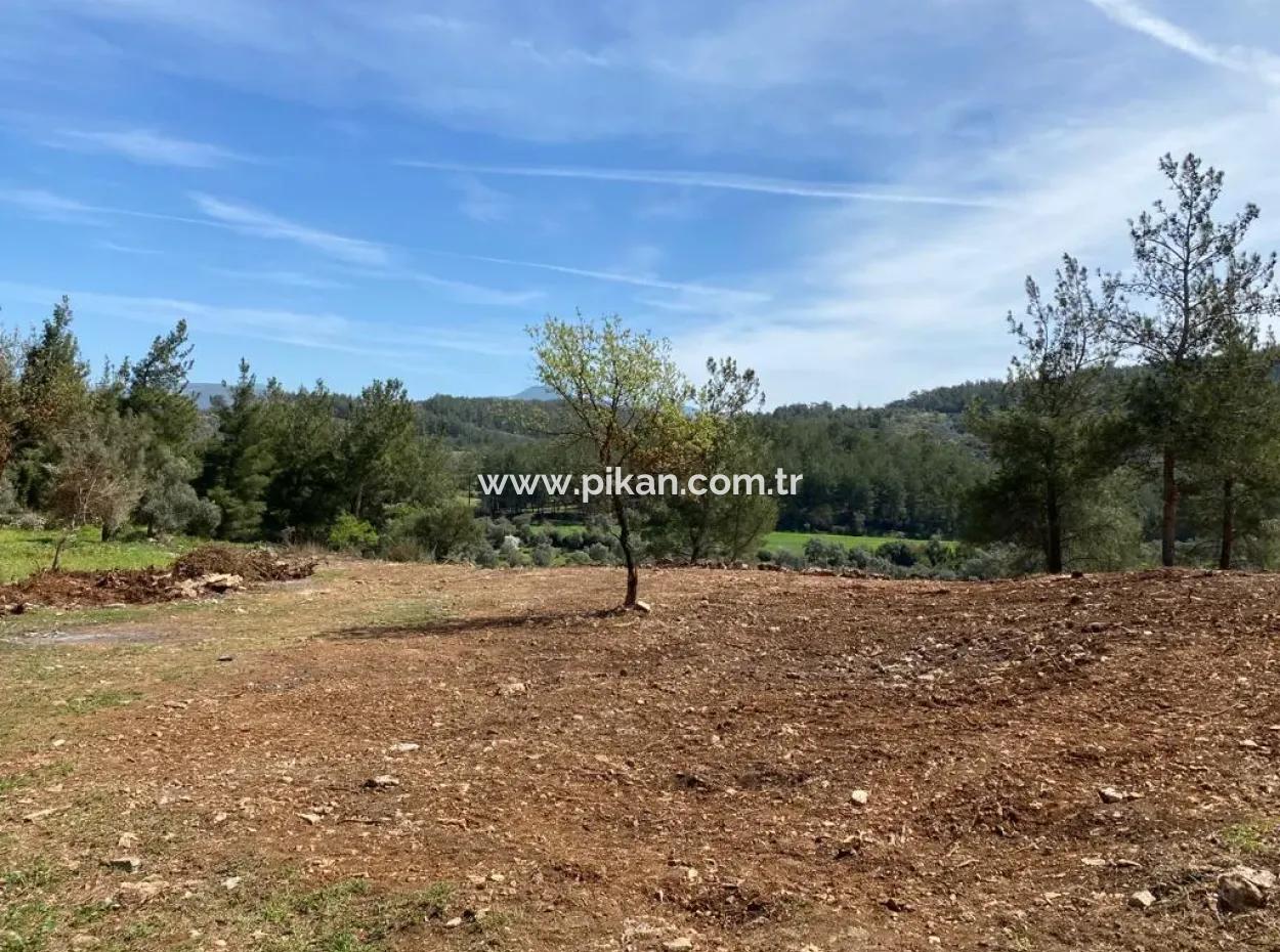Milas Karacahisarda 2500 M2 Düz Verili Müstakil Arazi Acil Satılık, Teklife Açık