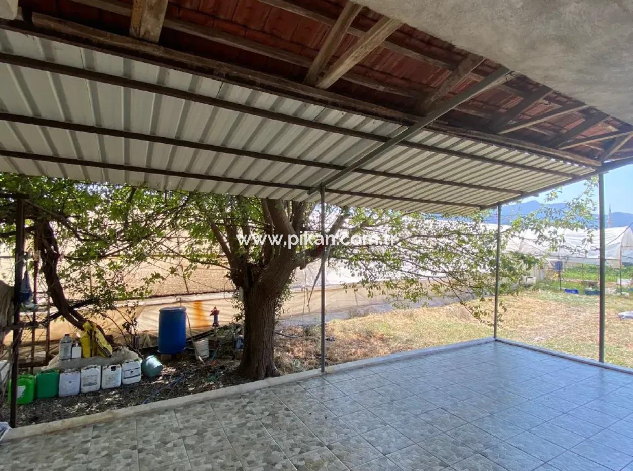 Ortaca Eskiköy De 5200 M2 Tarla İçinde Müstakil Ev Ve Sera Satılık