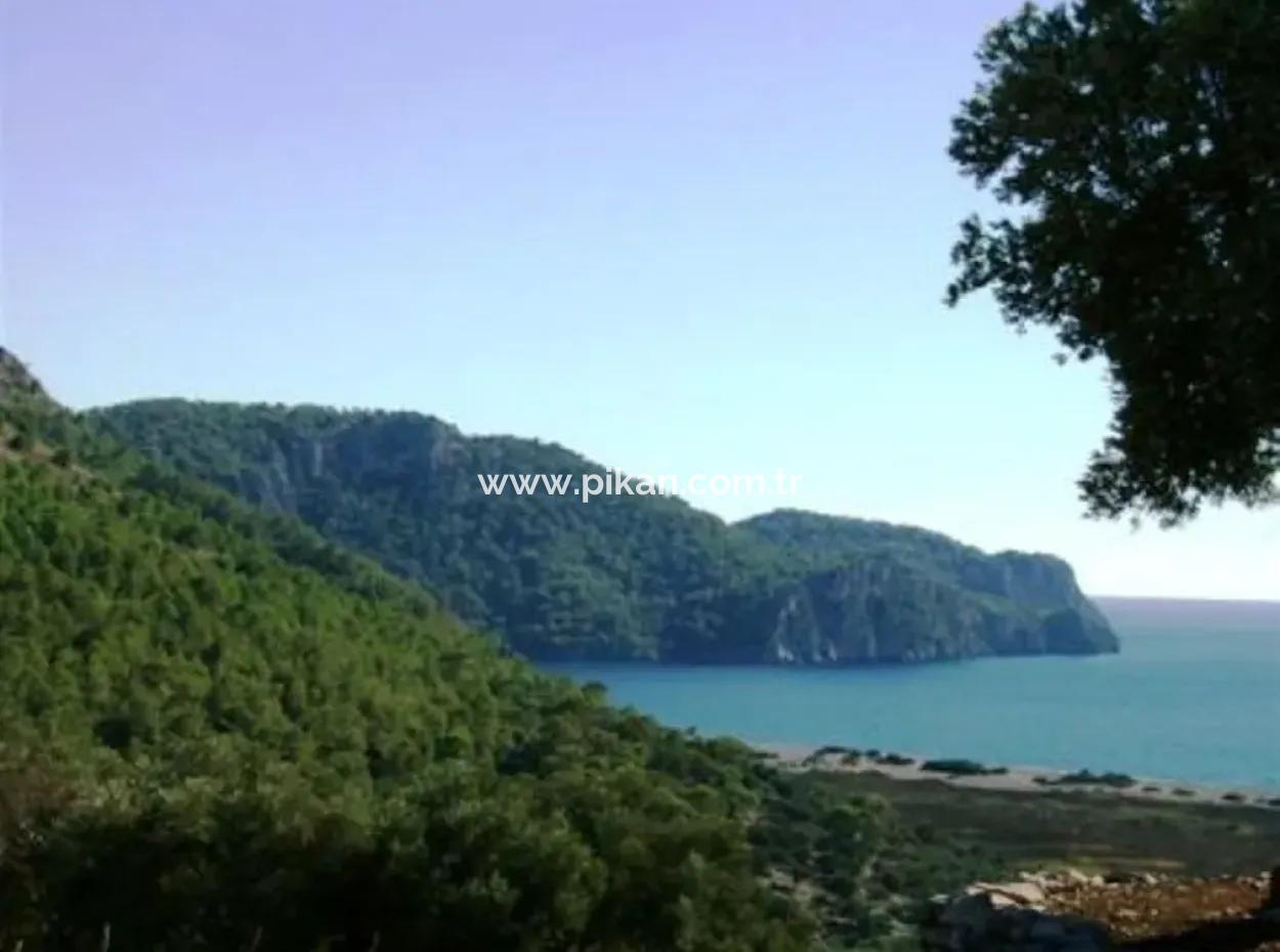 Muğla Dalaman İncebelde Satılık Deniz Ve Göl Manzaralı Arsa