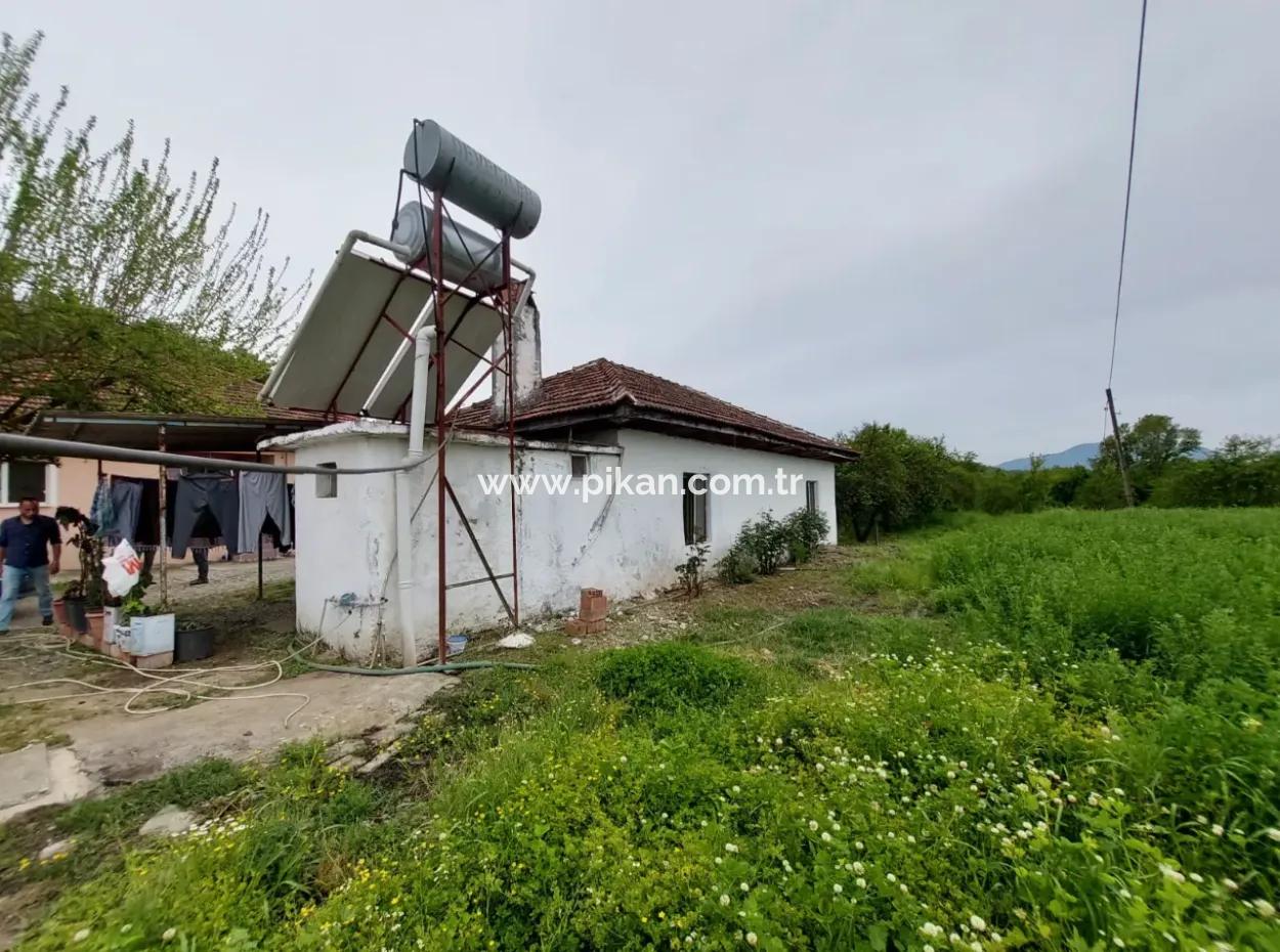 Muğla Köyceğiz Kavakarasında 6.650 M² Verimli Arazide Köy Evi Ve Çiftlik Satılık