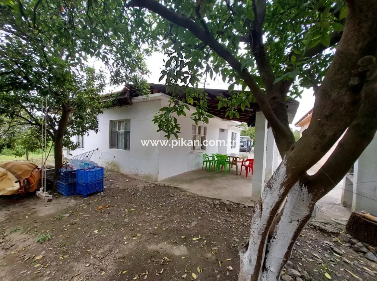 Muğla Köyceğiz Kavakarasında 6.650 M² Verimli Arazide Köy Evi Ve Çiftlik Satılık