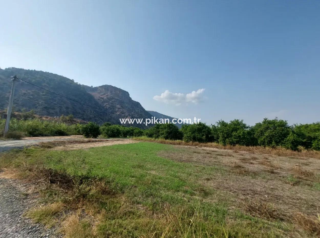 Ortaca Karadonlar’da 4.500 M² Bakımlı Limon Bahçesi Satılık