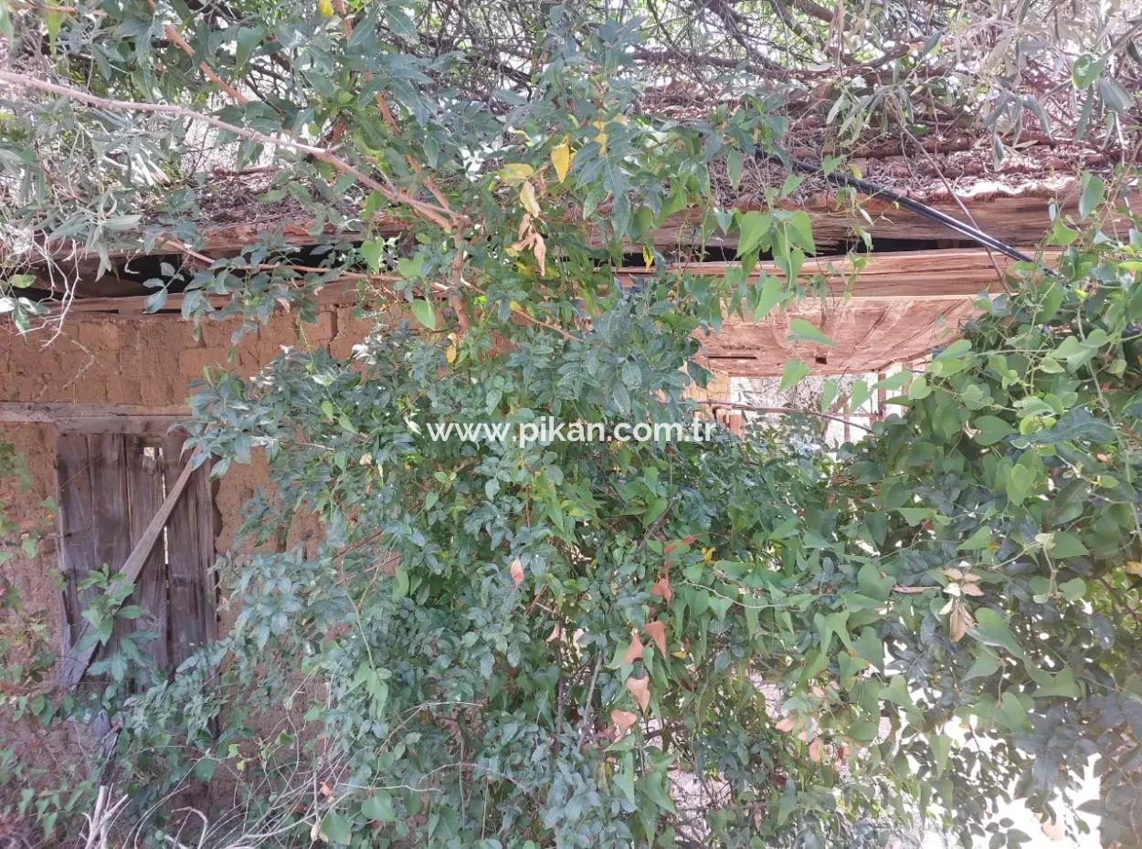 Muğla Köyceğiz Çandır’da Göl Manzaralı Köy Evi Ve Zeytinlik Arazi Satılık