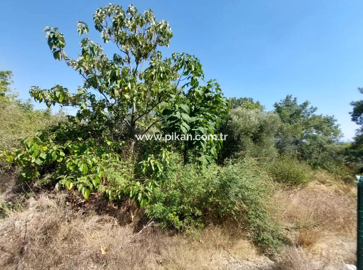 Ortaca Sarıgerme Deniz Manzaralı 2 225 M2 2 Müstakil Parsel Satılık