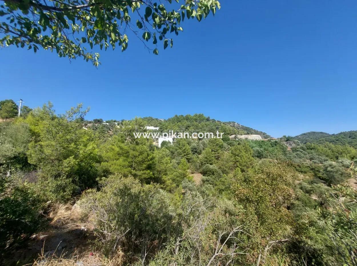 Muğla Ortaca Gökbel’de Satılık Müstakil Tapulu  238 M2 Hobi Bahçesi