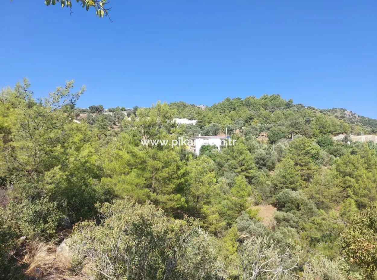 Muğla Ortaca Gökbel’de Satılık Müstakil Tapulu  238 M2 Hobi Bahçesi