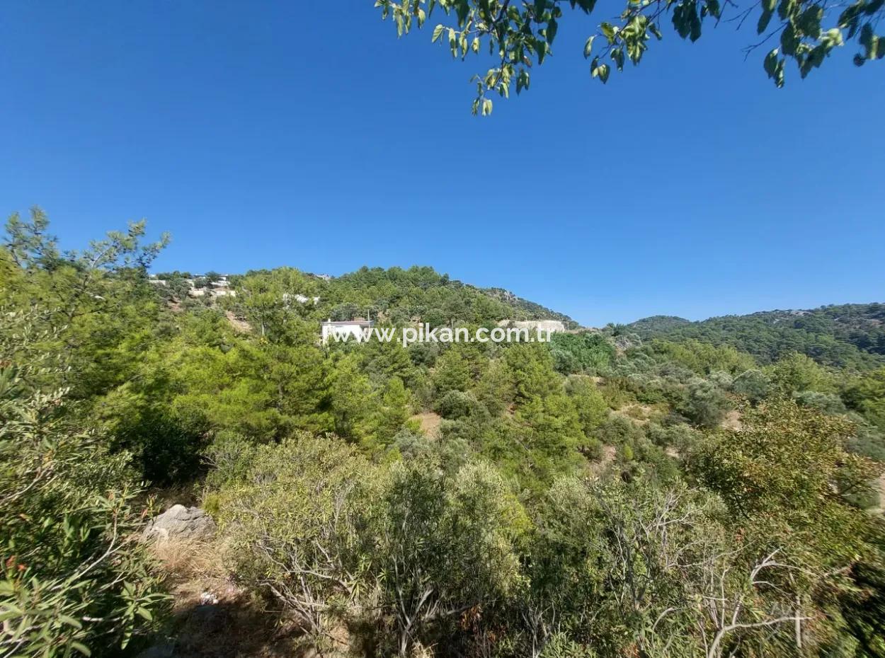 Muğla Ortaca Gökbel’de Satılık Müstakil Tapulu  238 M2 Hobi Bahçesi