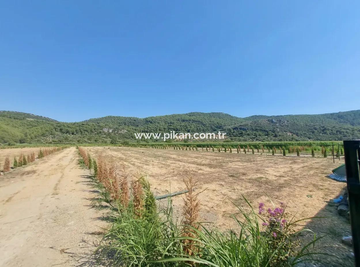 Ortaca Güzelyurt’ta Satılık Kooperatif Hisseleri – 270 M²