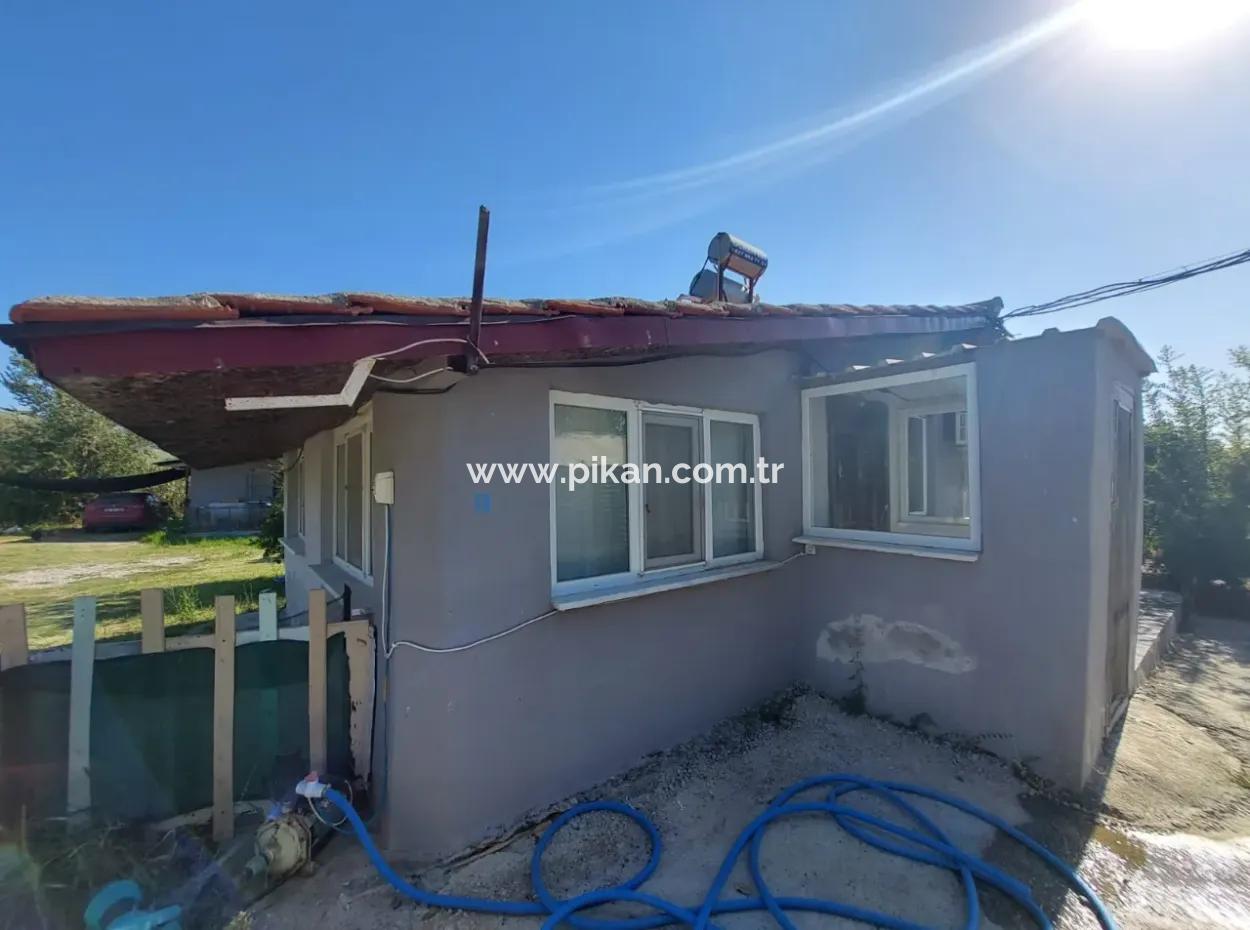 Muğla Dalyan’da Kanal  Sıfır,  Bahçeli, Full Eşyalı 1+1 Müstakil Ev Kiralık