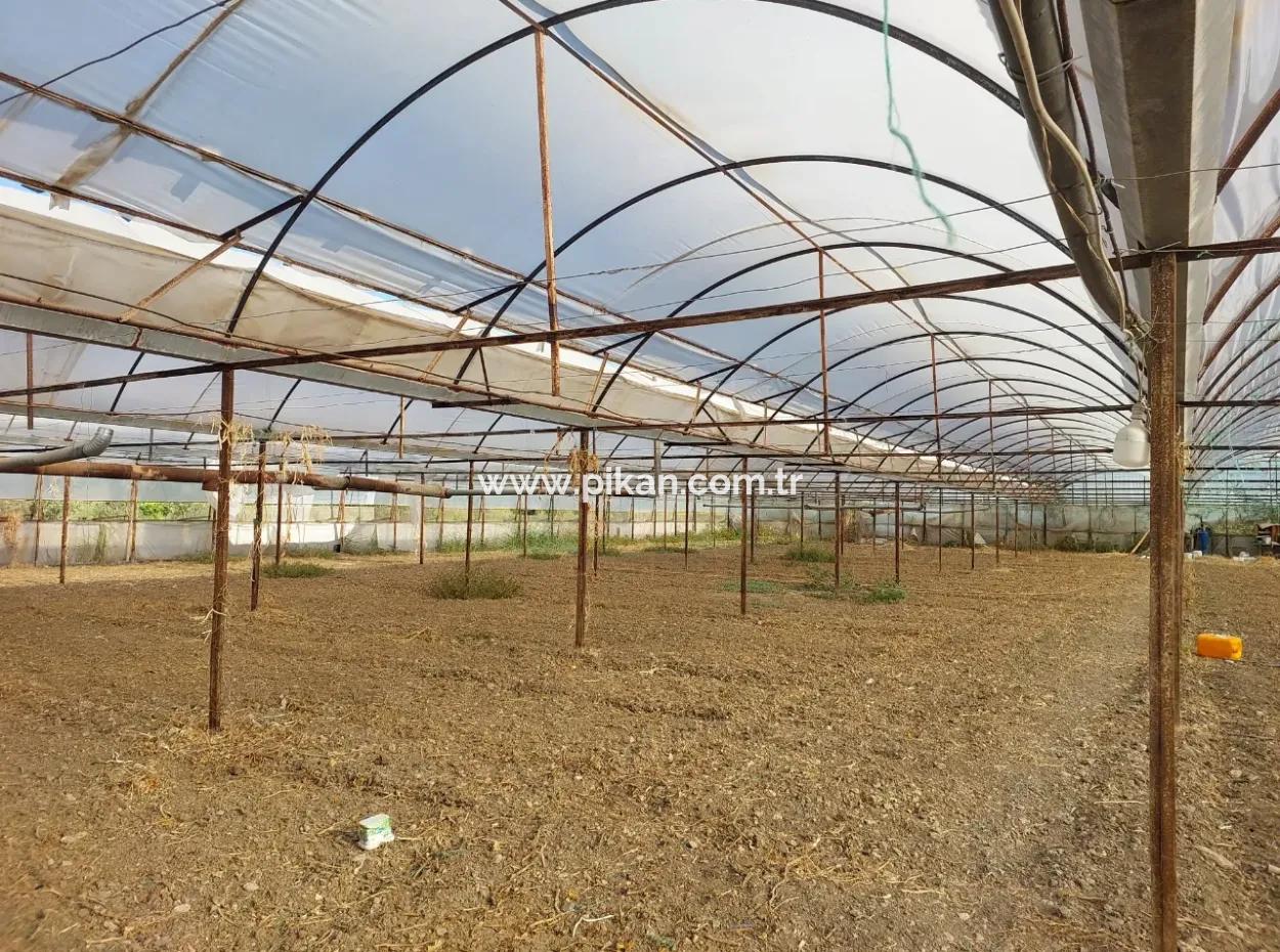 Ortaca Eskiköy’de 5.850 M² Göl Manzaralı Arazi Ve Köy Evi Satılık