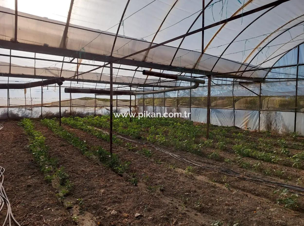 Ortaca Eskiköy’de 5.850 M² Göl Manzaralı Arazi Ve Köy Evi Satılık