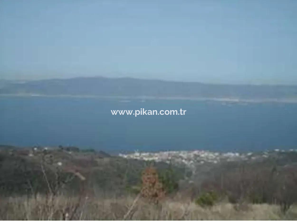 Kocaeli Ereğli’de 7.534 M² Deniz Manzaralı Yatırımlık Fırsat Müstakil  Arazi Satılık