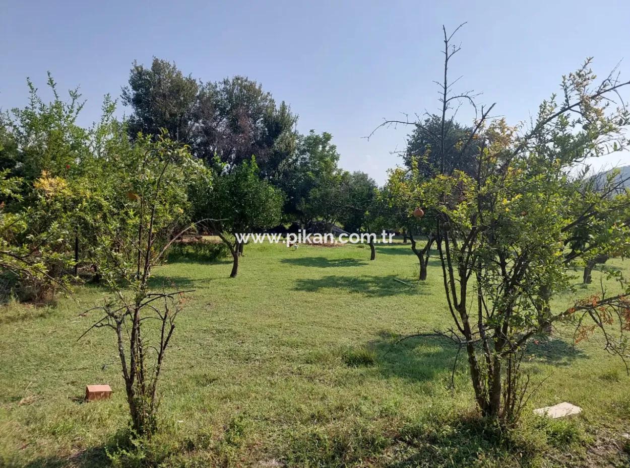 Ortaca Kemaliye’de 2.500 M² Müstakil Tapulu Yatırımlık Arazi Satılık