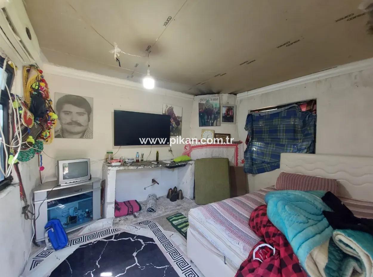 Muğla Dalaman Taşlıburun’da Doğayla İç İçe Bahçeli Yaşam Ve Yatırım Fırsatı!