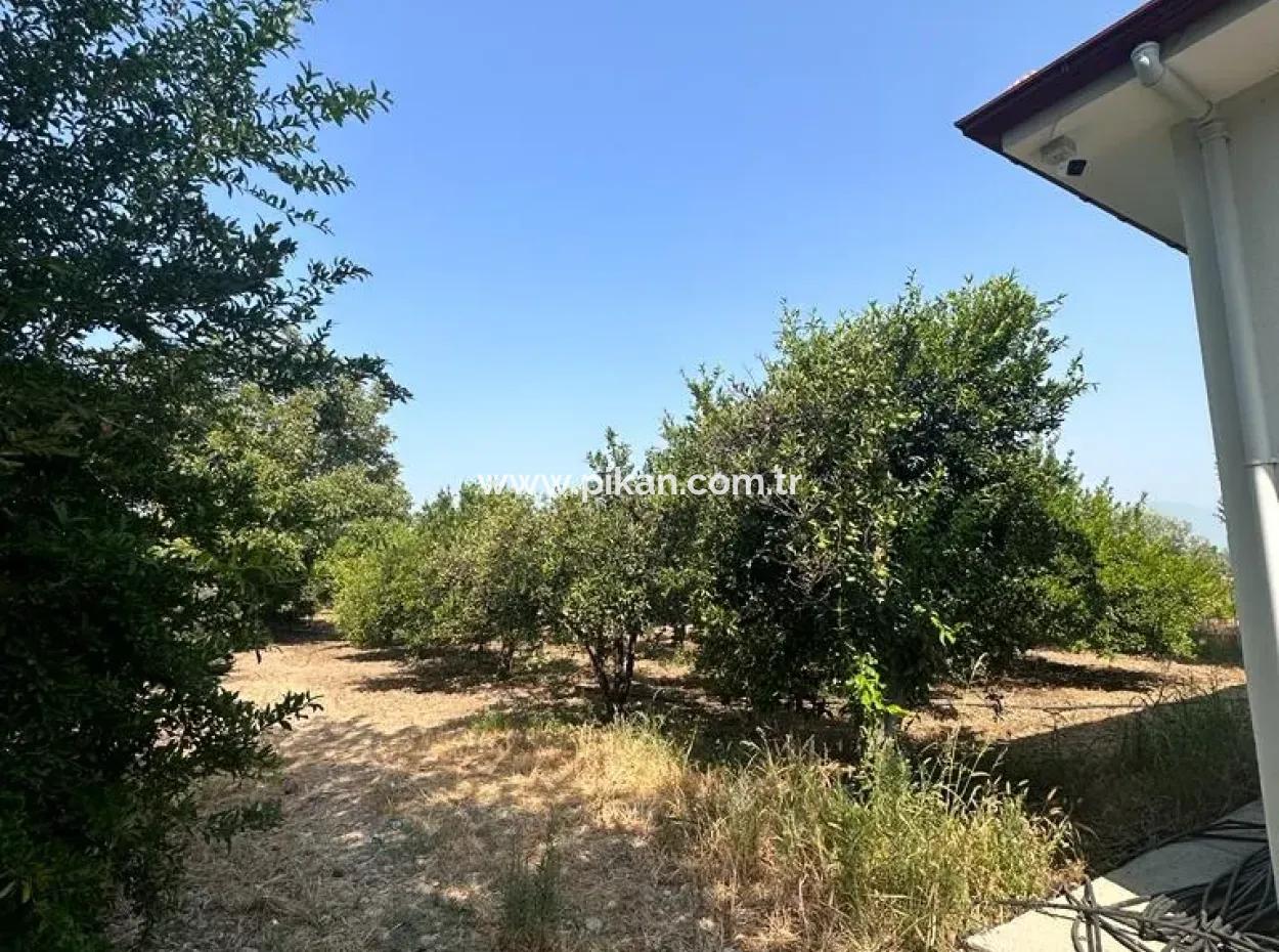 Köyceğiz - Köyceğiz Mah. 3+1 Eşyalı Müstakil Ev Kiralık