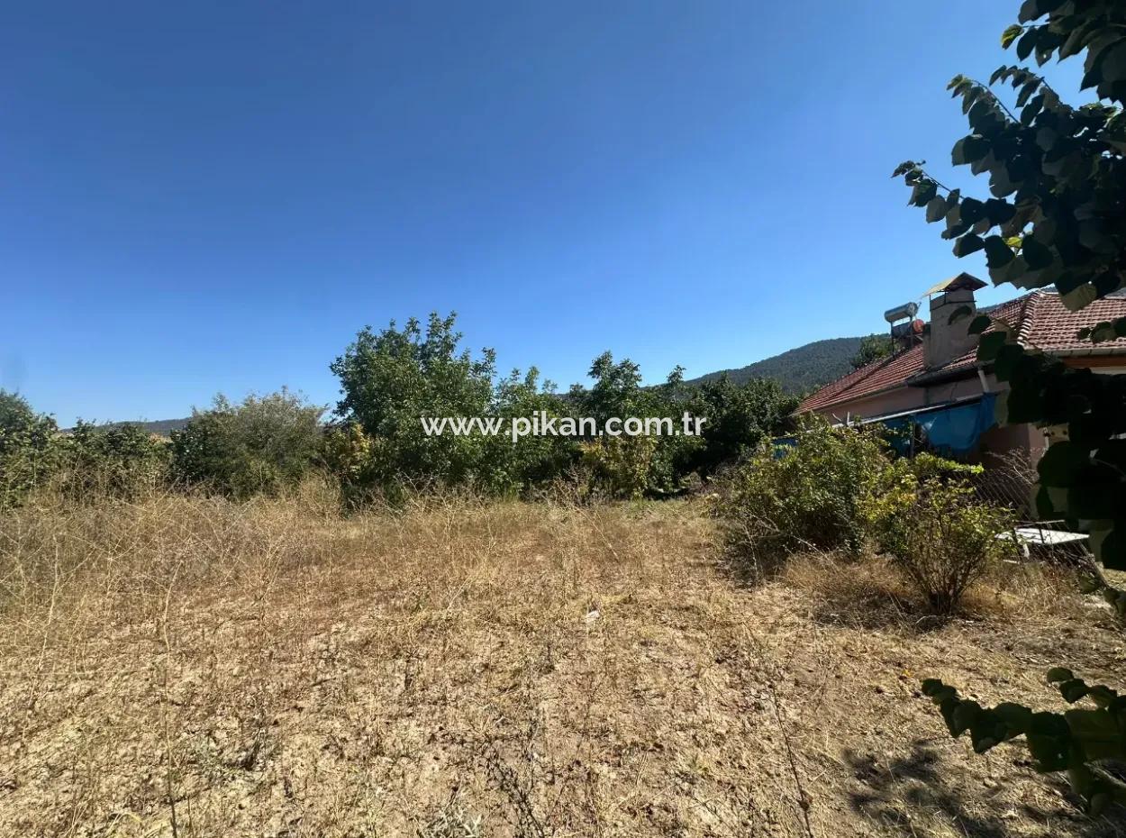 Denizli Çamelide Anayol Kenarı 3070 M2 Ceviz Bahçesi Satılık