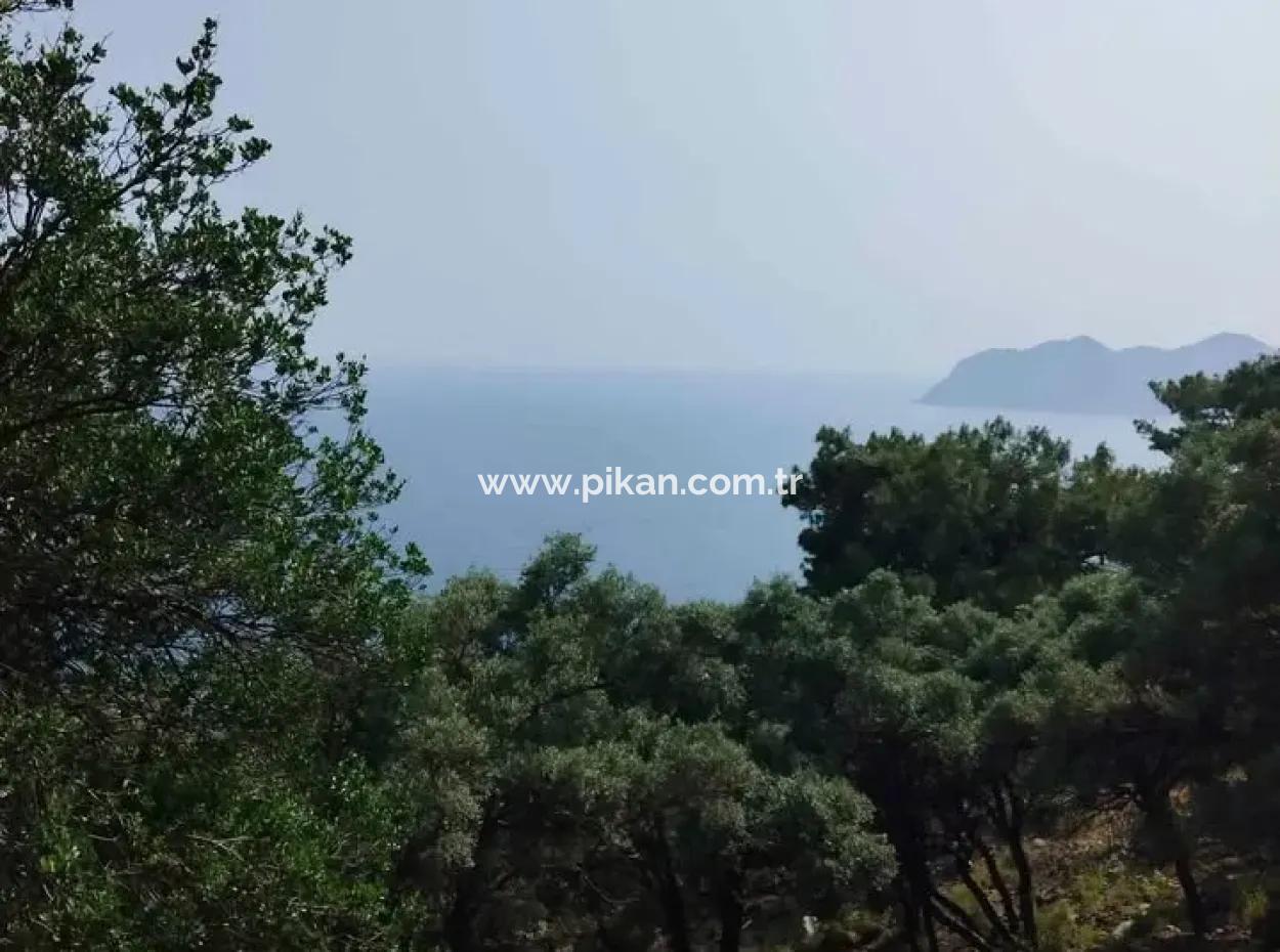 Muğla Köyceğiz Çandır’da 20.000 M² Deniz Manzaralı 2B Arazi Kullanım Hakkı Devren