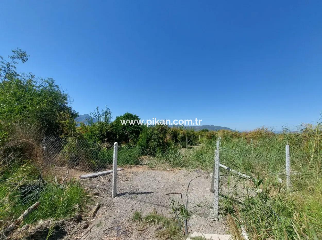 Ortaca Tepearasında  8126  M2 Yatırım Ve Zirayi Krediye Uygun Nar Bahçesi Satılık