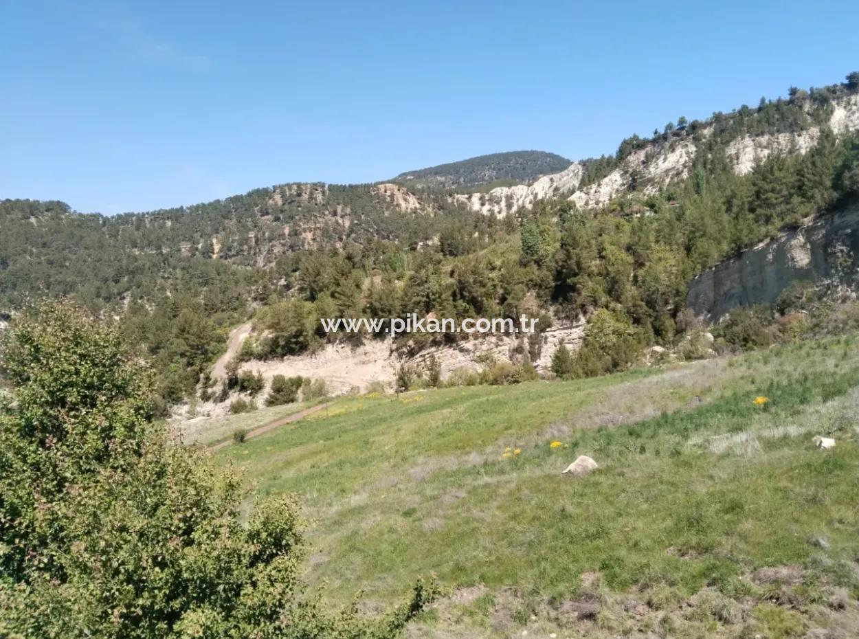 Çameli Kolakta Kelepir 20 000 M2 Müstakil Tapulu Arazi Satılık Veya Takas Olur.