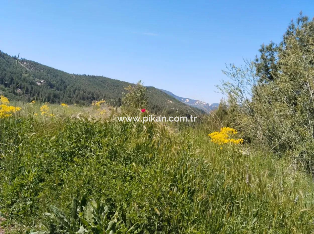 Çameli Kolakta Kelepir 20 000 M2 Müstakil Tapulu Arazi Satılık Veya Takas Olur.