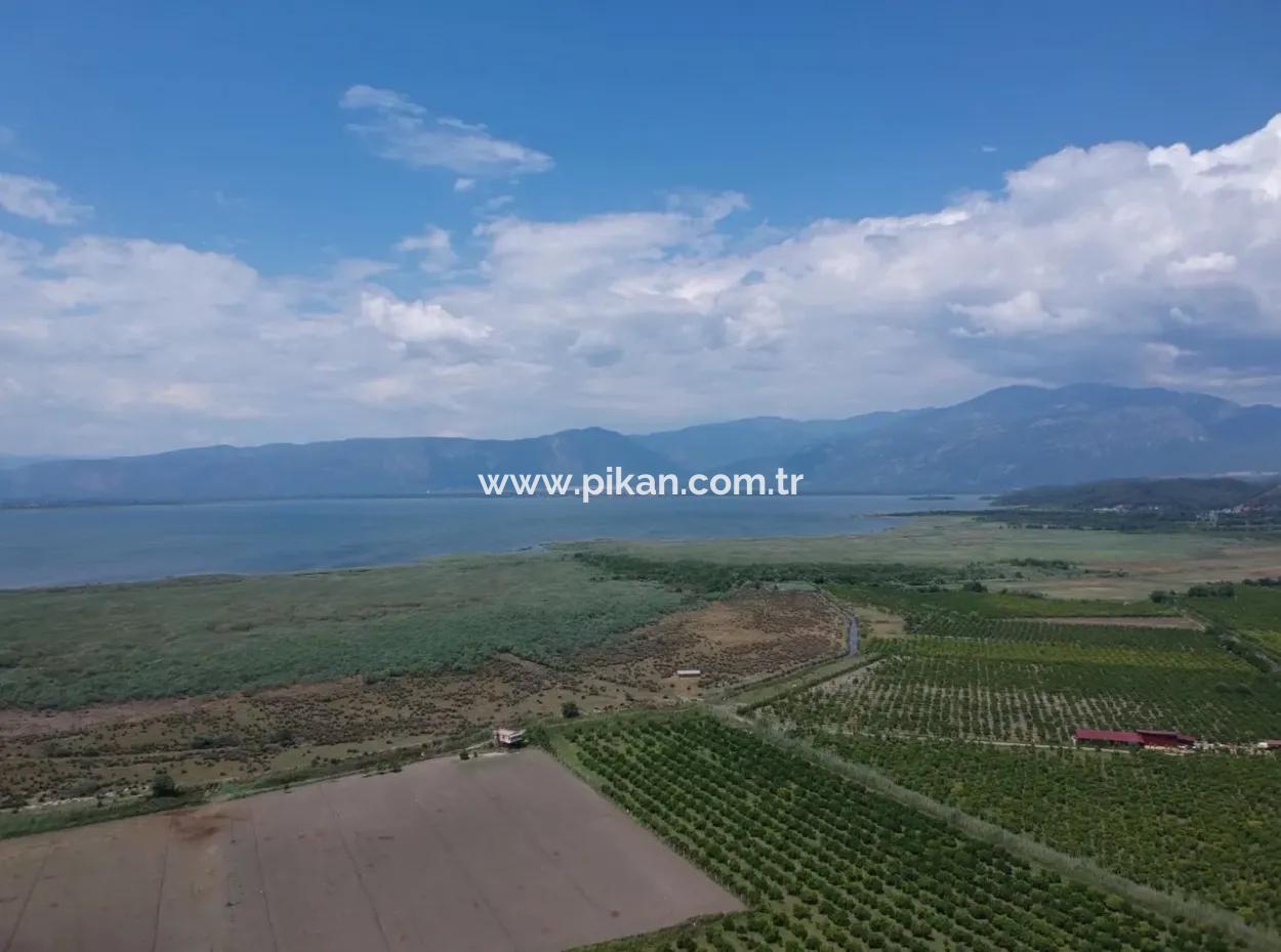 Ortaca Tepearası Nda 13 700 M2 Kelepir Arazi Satılık