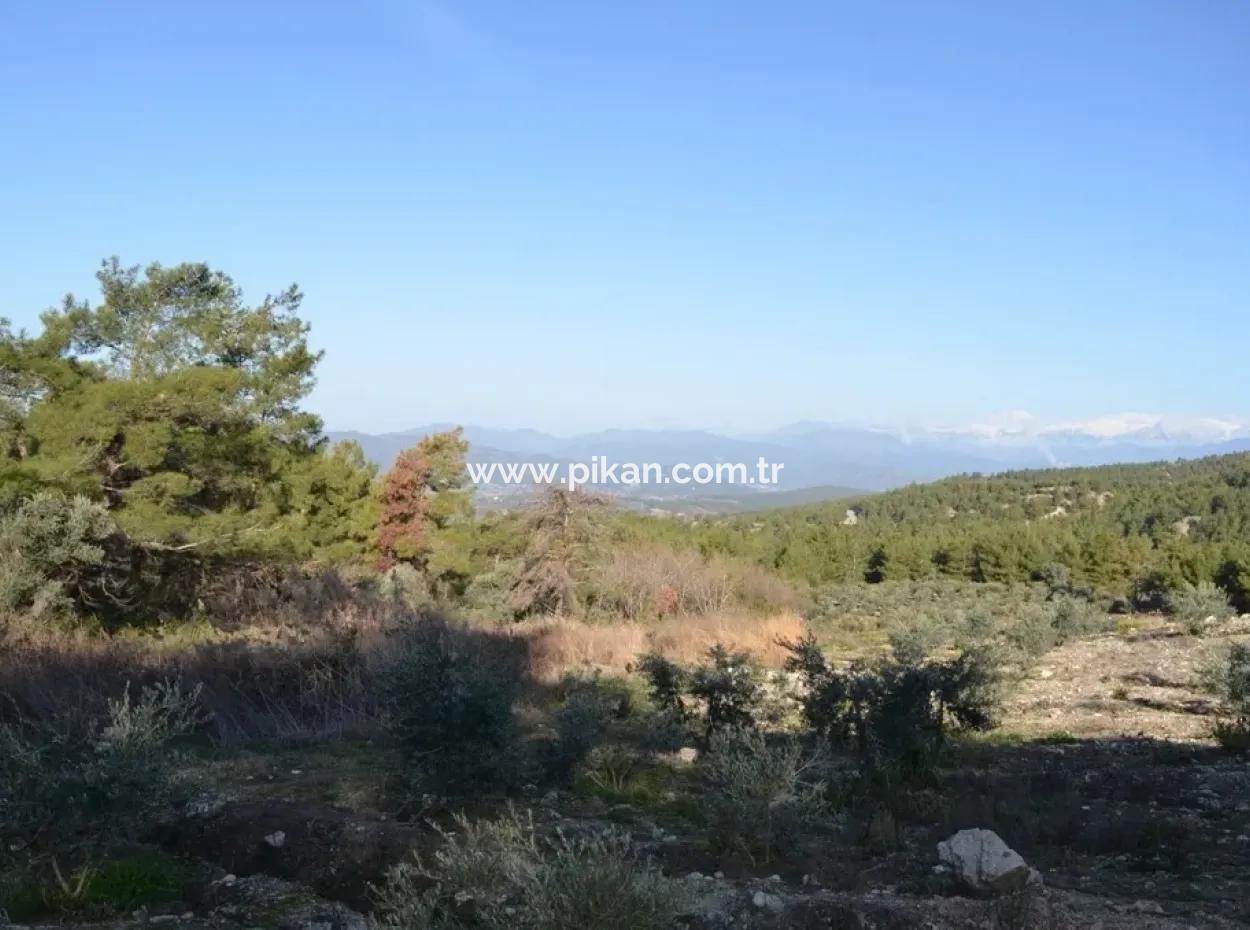 Fethiye Yaka Tlos Satılık Su Kenarı Değerli Arazi