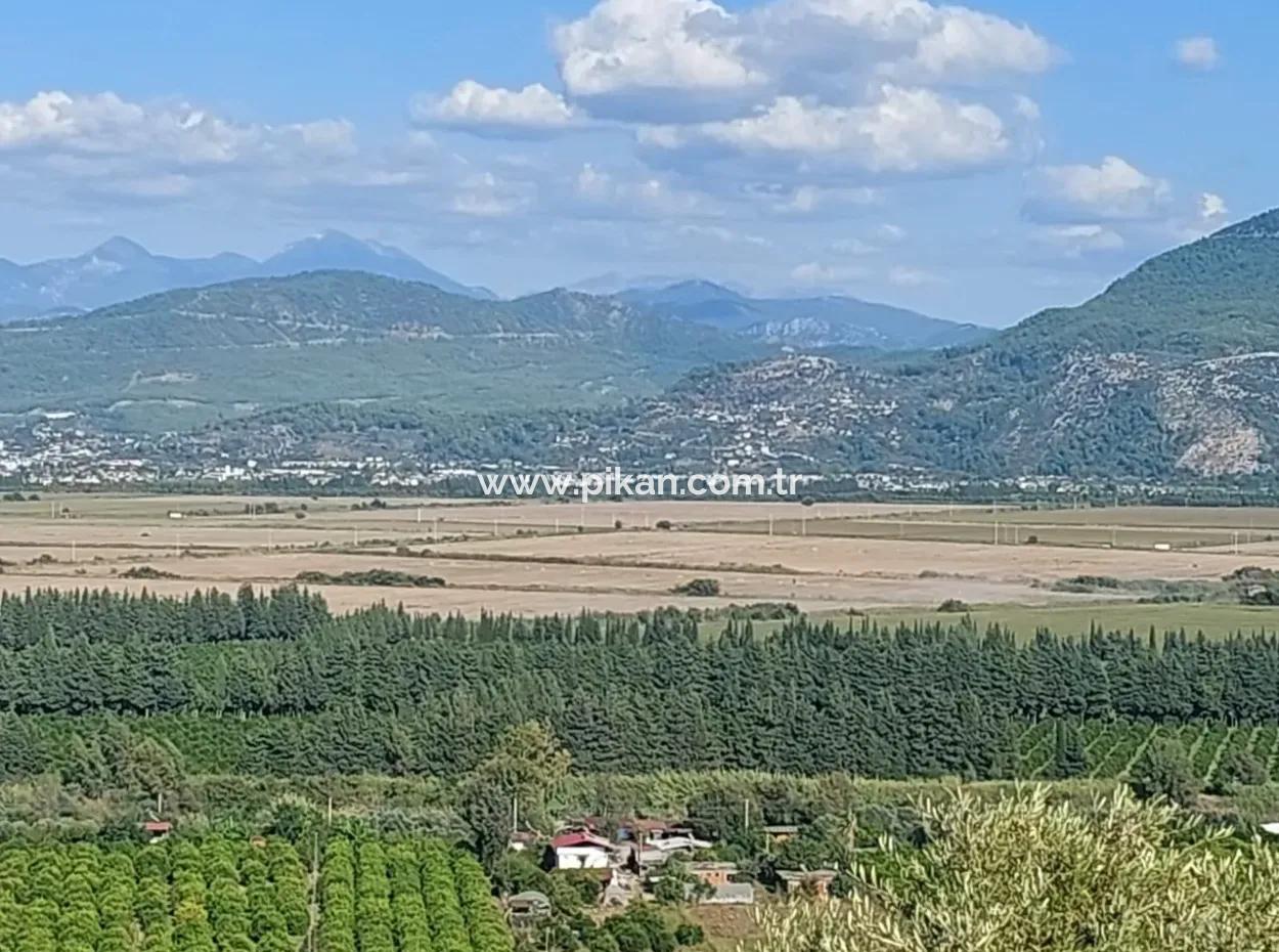 Ortaca Fevziyede Deniz Ve Doğa Manzaralı  Kelepir Müstakil Zeytinlik Satılık