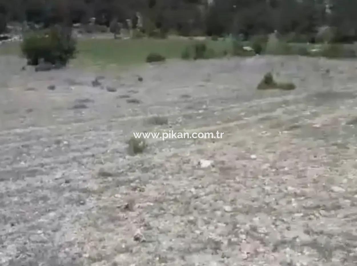 Çameli Ayvacık Ta 2030 M2 Tarla Satılık