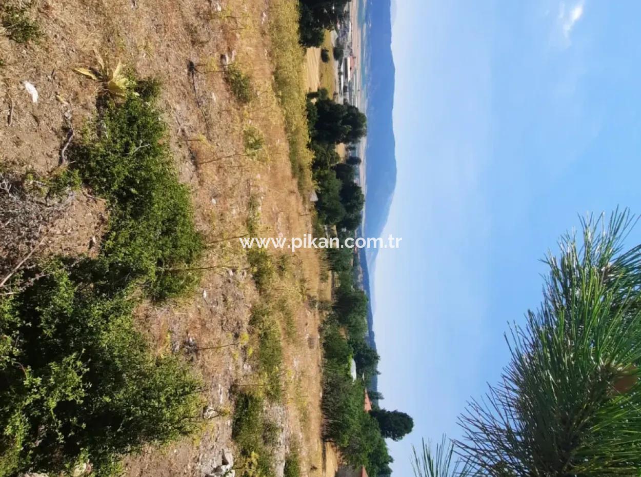 Fethiye, Nif Te, 2 100 M2, Satılık, Kelepir Arazi